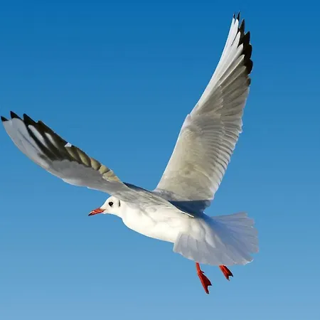 Апартаменты Ferienapartment Warnemuende 1 Росток