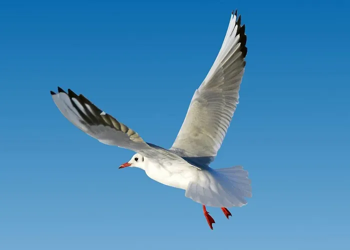 Apartmán Ferienapartment Warnemuende 1 Rostock